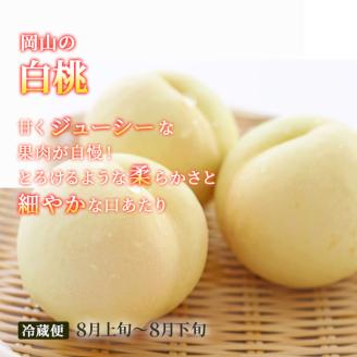 フルーツ 定期便 2026年 先行予約 晴れの国 おかやま 5回コース 桃 もも モモ 葡萄 ぶどう ブドウ 岡山県産 国産 果物 セット ギフト 梨 白桃 シャインマスカット ピオーネ