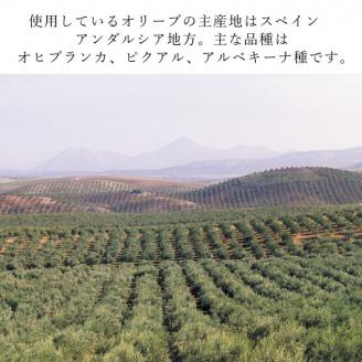 【定期便6ヶ月】バジェステル　エキストラバージンオリーブオイル5L