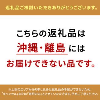 ぶどう 2026年 先行予約 ご家庭用 シャイン マスカット 晴王 優品 2房入り（1房 530g以上 露地栽培） ブドウ 葡萄  岡山県産 国産 フルーツ 果物 岡山の葡萄
