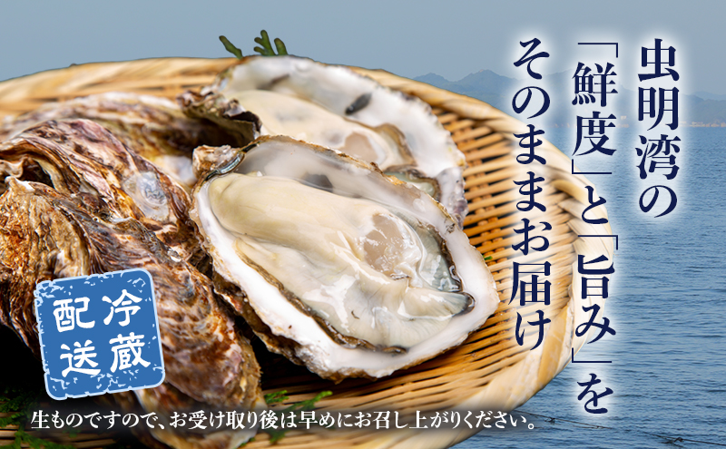 牡蠣 2026年 先行予約 殻付き牡蠣  一斗缶 （ 大つぶ 約70個～80個）  山銀商店 瀬戸内海虫明湾産 生牡蠣 かき 魚介類 カキ 軍手 ナイフ付き 加熱調理用