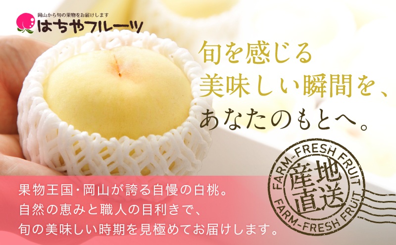 桃 2026年 先行予約 岡山 白桃 ロイヤル 4～6玉 約1kg JAおかやまのもも（早生種・中生種） もも モモ 岡山県産 国産 フルーツ 果物 ギフト