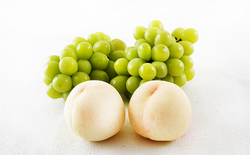 桃 ぶどう 2026年 先行予約 果物詰合せ 白桃 2玉 (1玉200g以上)  シャイン マスカット 晴王 2房 (合計約940g) 化粧箱入り 岡山県産 国産 フルーツ 果物 ギフト