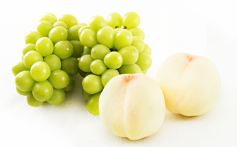 桃 ぶどう 2026年 先行予約 果物 詰合せ 白桃 2玉（1玉220g以上）シャインマスカット 晴王 2房（1房480g以上）化粧箱入り 岡山県産 国産 フルーツ ギフト フルーツ詰め合わせ 贈答品 セット