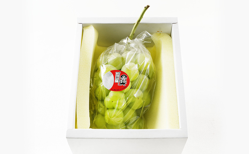 ぶどう 2026年 先行予約 桃太郎 ぶどう 1房（800g以上）化粧箱入り ブドウ 葡萄  岡山県産 国産 フルーツ 果物 ギフト 大粒 種なし 果汁たっぷり 酸味 甘さ バランス