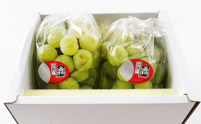 ぶどう 2026年 先行予約 桃太郎 ぶどう 2房（1房480g以上）化粧箱入り ブドウ 葡萄  岡山県産 国産 フルーツ 果物 ギフト 大粒 種なし 果汁たっぷり 酸味 甘さ バランス