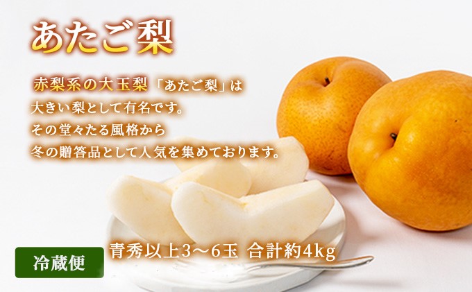 フルーツ 2025年 先行予約 晴れの国 岡山 の フルーツ 定期便 3回コース 桃 ぶどう 梨 岡山県産 国産 フルーツ 果物 ギフト マスカット もも モモ なし お楽しみ