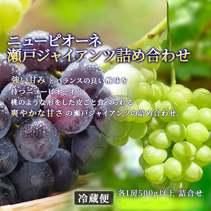 フルーツ 定期便 2026年 先行予約 フルーツ王国 岡山の果物 5回コース 夏～冬物語 桃 もも 葡萄 ぶどう 梨 なし岡山県産 国産 果物 セット ギフト ニューピオーネ シャインマスカット あたご梨