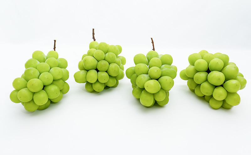 ぶどう 2026年 先行予約 シャイン マスカット 晴王 4房（1房480g以上）約2kg マスカット 岡山県産 国産 フルーツ 果物 ギフト 上品な香り 高級ぶどう 高級シャインマスカット 大粒 種なし 皮ごと