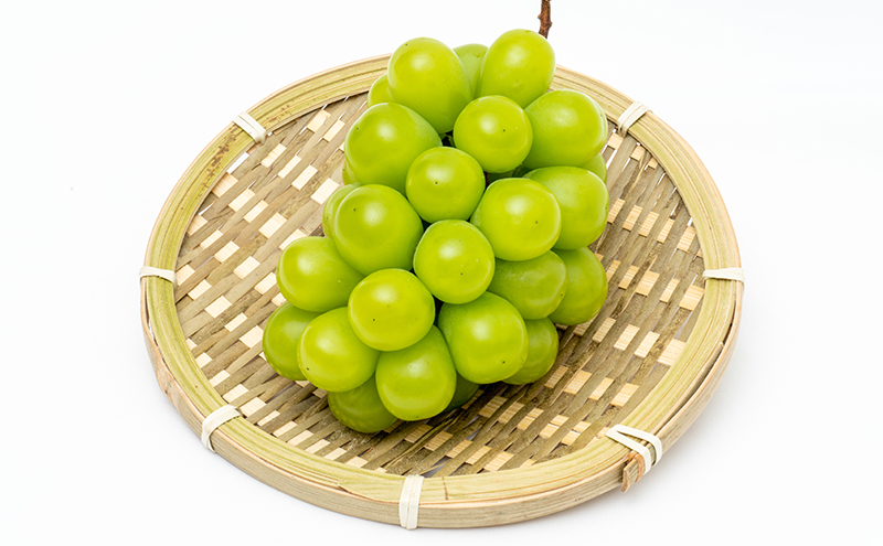 ぶどう 2026年 先行予約 3回お届け！  晴れの国 岡山の シャイン マスカット  晴王 ×3回！(各1房)  葡萄  岡山県産 国産 フルーツ 果物 ギフト 食後 高級ぶどう 大粒 種なし 甘みが強い 皮ごと