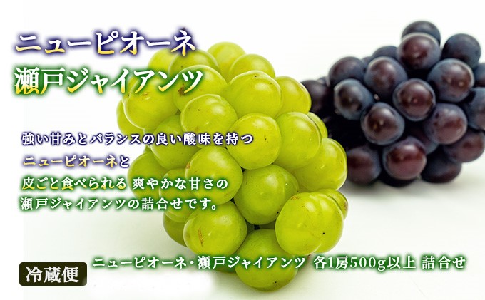 フルーツ 定期便 2026年 先行予約 フルーツ王国 岡山を堪能 6回コース 夏・秋・冬物語 桃 もも 葡萄 ぶどう 梨 なし岡山県産 国産 果物 セット ギフト 柔らかい マスカット 甘い 酸味 香り 風味