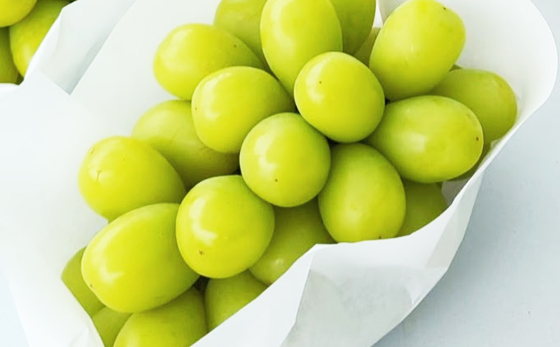 シャインマスカット 粒タイプ 1080g(270g×4パック) ブドウ 葡萄 岡山県 国産 フルーツ 果物 ギフト 正金農園より 直送 栽培期間中 農薬節減