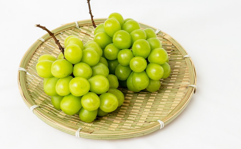 ぶどう 2026年 先行予約 シャイン マスカット 晴王 2房 (1房480g以上) 化粧箱入り ブドウ 葡萄 岡山県産 国産 フルーツ 果物 ギフト