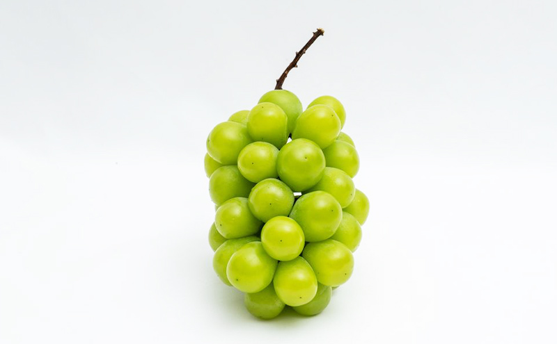 ぶどう 2024年 先行予約 果物 詰合せ ニュー ピオーネ 1房 480g以上・ シャイン マスカット 晴王 1房 480g以上・マスカットオブ・アレキサンドリア 1房 600g以上・秀品以上