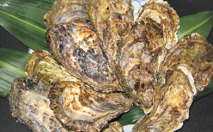 牡蠣 2026年 先行予約 殻付き牡蠣 お徳用 一斗缶 （小粒 約100個、約10kg） 山銀商店 瀬戸内海虫明湾産 生牡蠣 かき 魚介類 カキ 軍手 ナイフ付き 加熱調理用