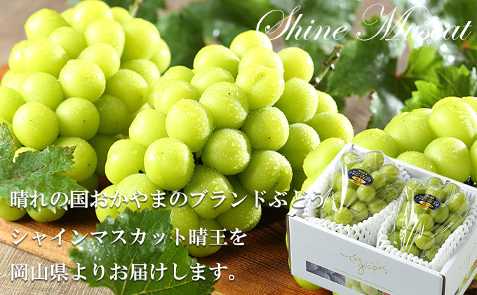 ぶどう 2026年 先行予約 シャイン マスカット 晴王 約500g×2房 7月上旬～8月中旬発送 ブドウ 葡萄  岡山県産 国産 フルーツ 果物 ギフト