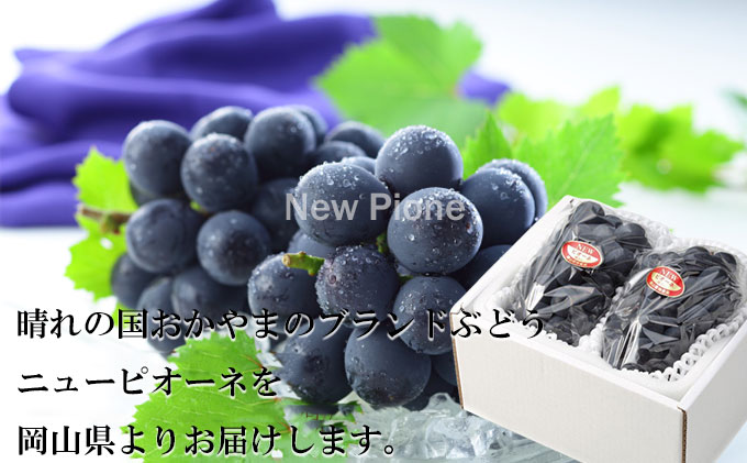ぶどう 2026年 先行予約 ニュー ピオーネ 約400g×2房 6月下旬～7月下旬発送 ブドウ 葡萄  岡山県産 国産 フルーツ 果物 ギフト 果物類 種なし デザート 食後 おやつ 産地直送