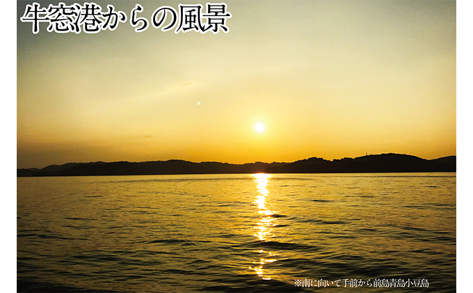 先行予約 2023年2月以降順次発送 殻付 牡蠣 約3kg エビス水産  洗浄済 瀬戸内牛窓産 岡山県 ※加熱調理用