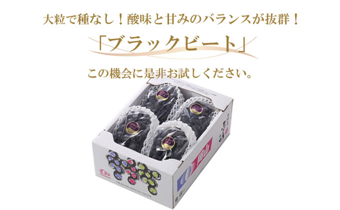 ぶどう 2026年 先行予約 ブラックビート 約2kg 3～6房 ブドウ 葡萄  岡山県産 国産 フルーツ 果物 ギフト 岡山のぶどう 岡山の果物 デザート 食後 種無し 大粒 甘味 酸味 バランス