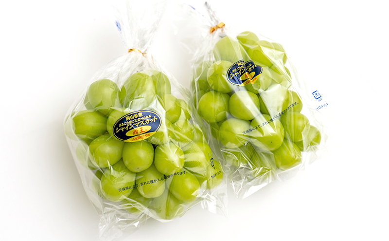 ぶどう 定期便 2026年 先行予約 シャイン マスカット 晴王 各月2房（1房600g以上） 3回コース マスカット ブドウ 葡萄  岡山県産 国産 フルーツ 果物 ギフト 大粒 高級 甘い 弾力