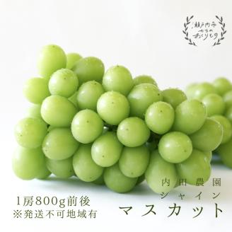 シャインマスカット1房（800g前後）内田農園 岡山県 瀬戸内市 邑久町産 葡萄 ぶどう 2025年【配達不可：北海道・沖縄・離島】 果物類 ブドウ フルーツ