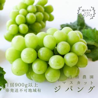 マスカット・ジパング 1房（900g以上）内田農園 岡山県 瀬戸内市 邑久町産 葡萄 ぶどう 2025年【配達不可：北海道・沖縄・離島】 果物類 フルーツ オリジナル 種なし 皮ごと