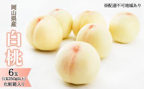 桃 2026年 先行予約 白桃 6玉（1玉250g以上）化粧箱入り もも モモ 岡山県産 国産 フルーツ 果物 ギフト