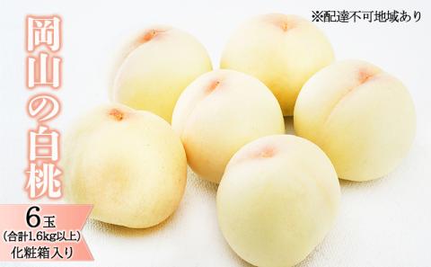 桃 2026年 先行予約 岡山 の 白桃 6玉（合計1.6kg以上）化粧箱入り もも モモ 岡山県産 国産 フルーツ 果物 ギフト デザート 上品な甘み とろける 産地直送