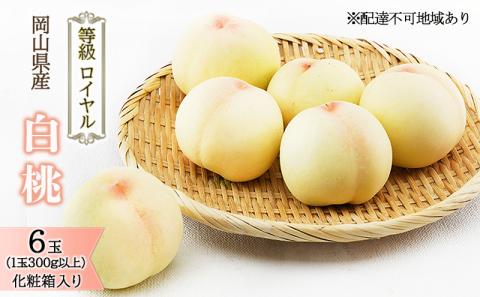 桃 2026年 先行予約 白桃 6玉 （1玉300g以上） 等級：ロイヤル 化粧箱入り もも モモ 岡山県産 国産 フルーツ 果物 ギフト 贈答品 糖度12.0度以上