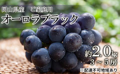 ぶどう 2024年 先行予約 ご家庭用 オーロラブラック 約2.0kg（3～5房）ブドウ 葡萄 岡山県産 国産 フルーツ 果物