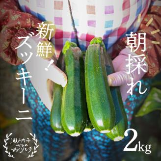 瀬戸内 牛窓産 ズッキーニ 約2kg（12本前後）