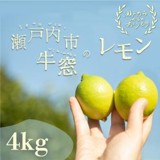瀬戸内 牛窓産 レモン 約4kg（1果 100g前後） 果物 柑橘 果実 国産 爽やか ワックス 防腐剤 不使用 料理 ジュース 酎ハイ 焼酎 飲み物 果汁 ドレッシング ソース