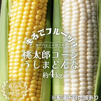 ［2026年先行予約］牛窓産とうもろこし まるでフルーツ！生で甘い、茹でて美味い！「桃太郎コーン」と「うしまどんな」のセット 約4kg 8～12本入り 産地直送 食べ比べ