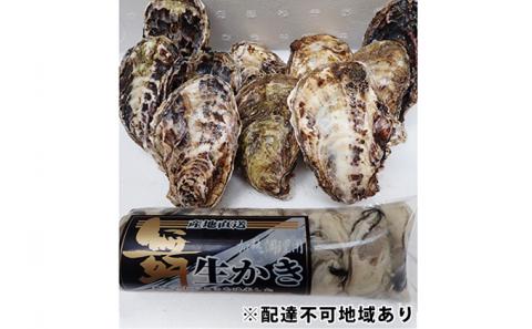 牡蠣 2026年 先行予約 牡蠣むき身 500gと 殻付牡蠣 10個 セット 山銀商店 瀬戸内海虫明湾産 魚介類 カキ かき シーフード