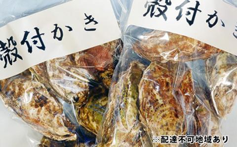 牡蠣 2026年 先行予約 殻付き牡蠣 レンジでチン セット 5個入×2袋 山銀商店 瀬戸内海虫明湾産 魚介類 カキ かき シーフード