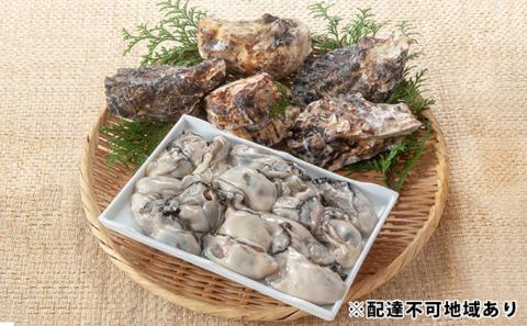 牡蠣 2026年 先行予約 殻付き牡蠣 お徳用 半斗缶 (約50個)約5kg 山銀商店 瀬戸内海虫明湾産 約5kg 魚介類 カキ シーフード かき