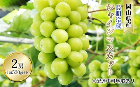 ぶどう 2026年 先行予約 長期冷蔵 シャイン マスカット 2房入り（1房 530g以上） ブドウ 葡萄 岡山県産 国産 フルーツ 果物 ギフト 岡山の葡萄