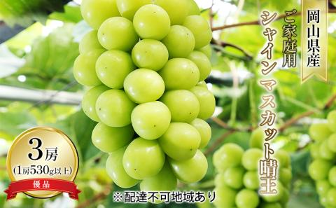 ぶどう 2026年 先行予約 ご家庭用 シャイン マスカット 晴王 優品 3房入り（1房 530g以上 露地栽培） ブドウ 葡萄  岡山県産 国産 フルーツ 果物 岡山の葡萄