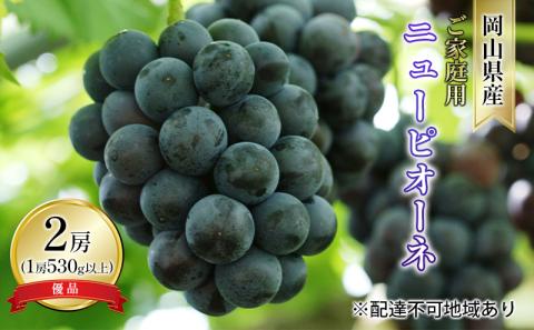 ぶどう 2026年 先行予約 ご家庭用 ニュー ピオーネ 優品 2房入り（1房 530g以上 露地栽培） ブドウ 葡萄  岡山県産 国産 フルーツ 果物 岡山の葡萄