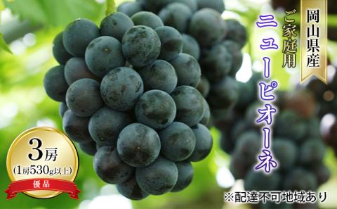 ぶどう 2026年 先行予約 ご家庭用 ニュー ピオーネ 優品 3房入り（1房 530g以上 露地栽培） ブドウ 葡萄  岡山県産 国産 フルーツ 果物 岡山の葡萄