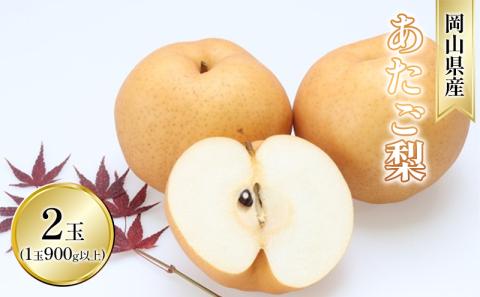 梨 2025年 先行予約 あたご梨 2玉入り（1玉 900g以上） なし ナシ  岡山県産 国産 フルーツ 果物 ギフト