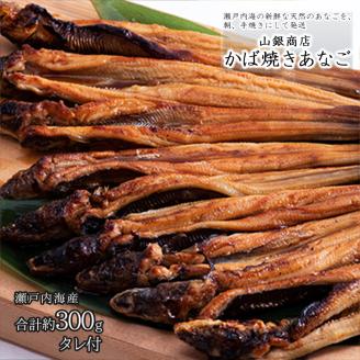 あなご 先行予約 山銀商店 かば焼き あなご (合計約300g)  産地直送 穴子 魚介類