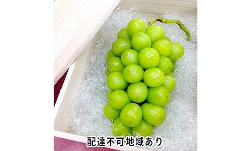 ぶどう 2024年 先行予約 シャイン マスカット 桐箱 1房入り 800g以上 ブドウ 葡萄 岡山県産 国産 フルーツ 果物 ギフト 内藤ぶどう園