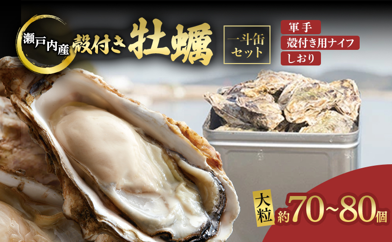 牡蠣 2026年 先行予約 殻付き牡蠣  一斗缶 （ 大つぶ 約70個～80個）  山銀商店 瀬戸内海虫明湾産 生牡蠣 かき 魚介類 カキ 軍手 ナイフ付き 加熱調理用