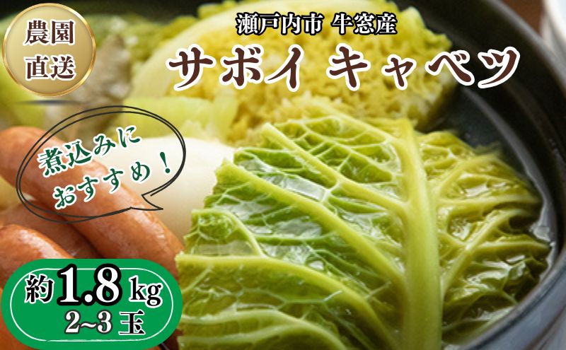 瀬戸内 牛窓産 サボイ キャベツ 約1.8kg（2～3玉）