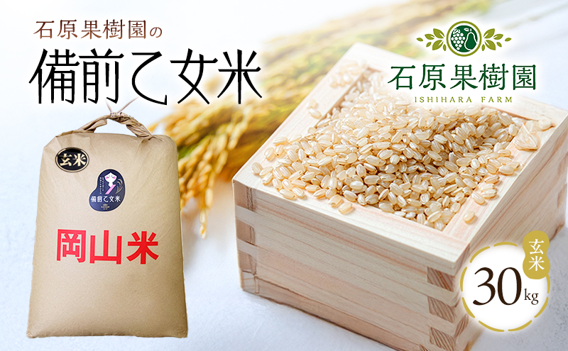 米 令和7年産 石原果樹園の備前乙女米 玄米 30kg×1袋 ※11月上旬～順次発送予定 お米 ライス 乳酸菌栽培 岡山県 おにぎり お弁当