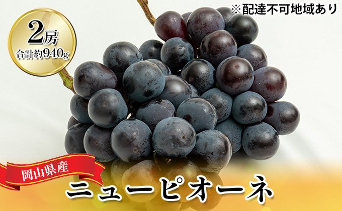 ぶどう 2026年 先行予約 ニュー ピオーネ 2房（合計約940g）化粧箱入り ブドウ 葡萄  岡山県産 国産 フルーツ 果物 ギフト