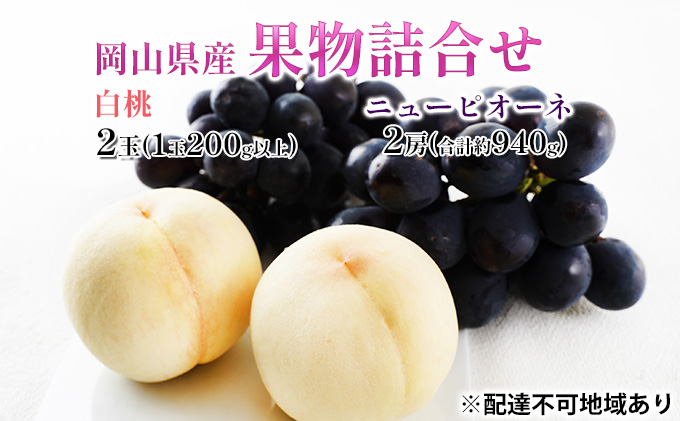 桃 ぶどう 2026年 先行予約 果物詰合せ 白桃 2玉（1玉200g以上） ニュー ピオーネ 2房（合計約940g）化粧箱入り 岡山県産 国産 フルーツ 果物 ギフト  贈り物 セット