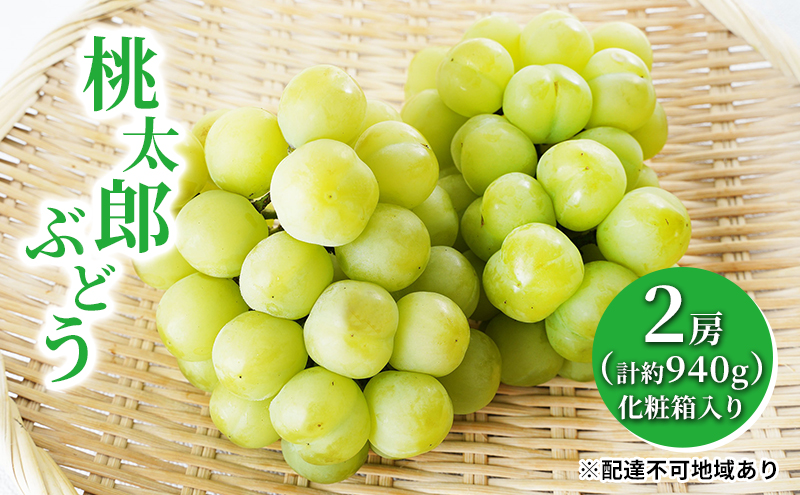 ぶどう 2026年 先行予約 桃太郎 ぶどう 2房（合計約940g）化粧箱入り マスカット ブドウ 葡萄  岡山県産 国産 フルーツ 果物 ギフト 大粒 果実 種無し そのまま 粒ごと 酸味 甘さ 人気
