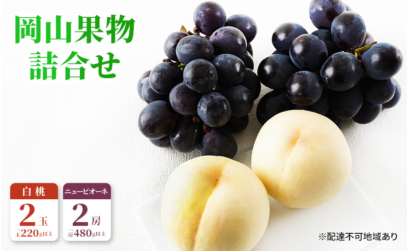 桃 ぶどう 2026年 先行予約 果物 詰合せ 白桃 2玉（1玉220g以上）ニューピオーネ 2房（1房480g以上）化粧箱入り もも 葡萄 岡山県産 国産 フルーツ 果物 ギフト 上品な甘み とろける 強い甘み 酸味