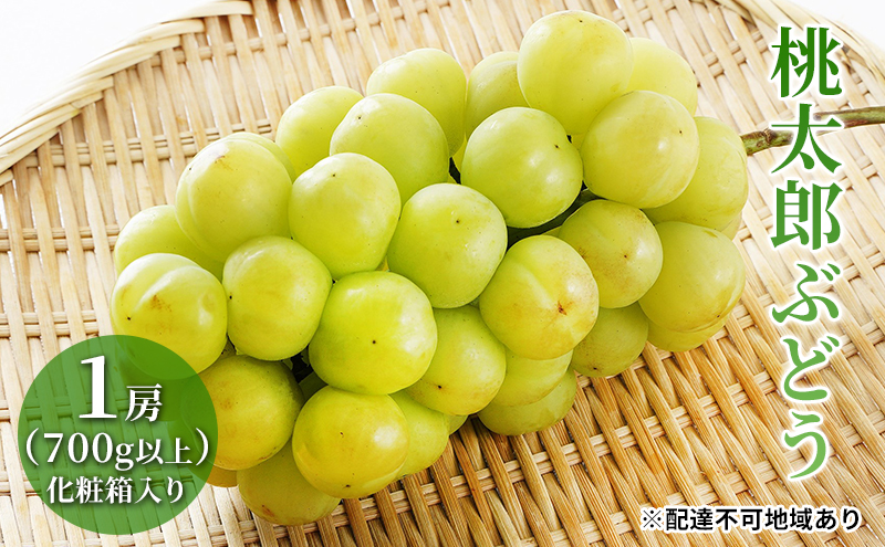 ぶどう 2026年 先行予約 桃太郎 ぶどう 1房（700g以上）化粧箱入り ブドウ 葡萄  岡山県産 国産 フルーツ 果物 ギフト 大粒 種なし 果汁たっぷり 酸味 甘さ バランス